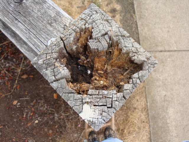 Rotting fence post tops