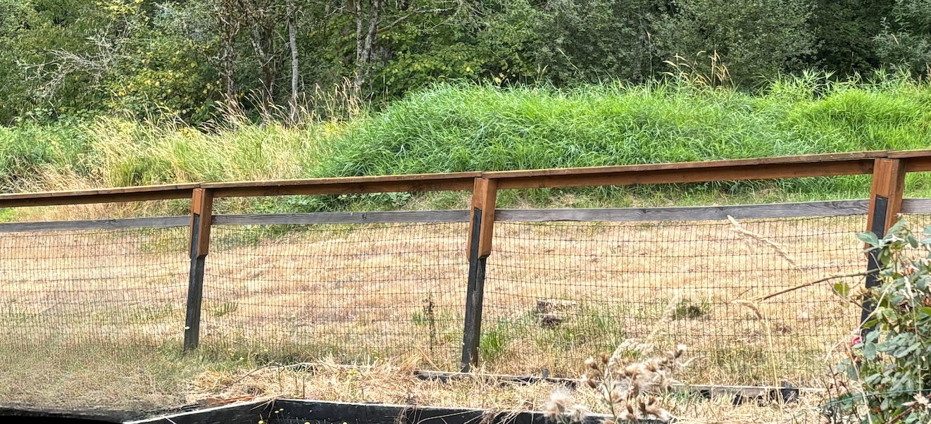 Repaired 4x4 fence post tops